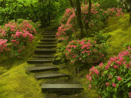 HD wallpaper featuring moss-covered garden stairs surrounded by vibrant pink flowers and lush greenery.