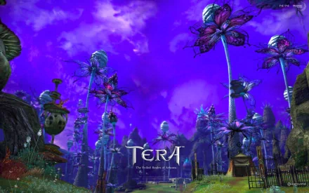 video game Tera HD Desktop Wallpaper | Background Image