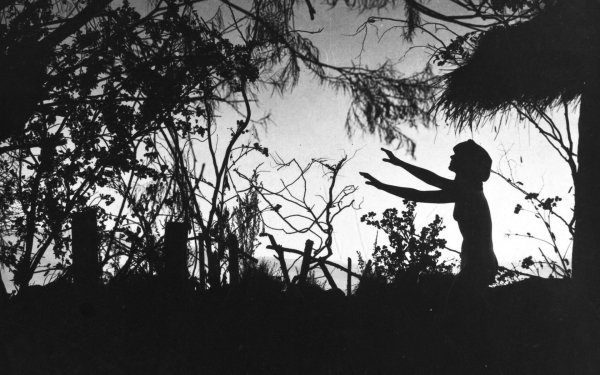 Dark Women Spooky Creepy Forest HD Wallpaper | Background Image