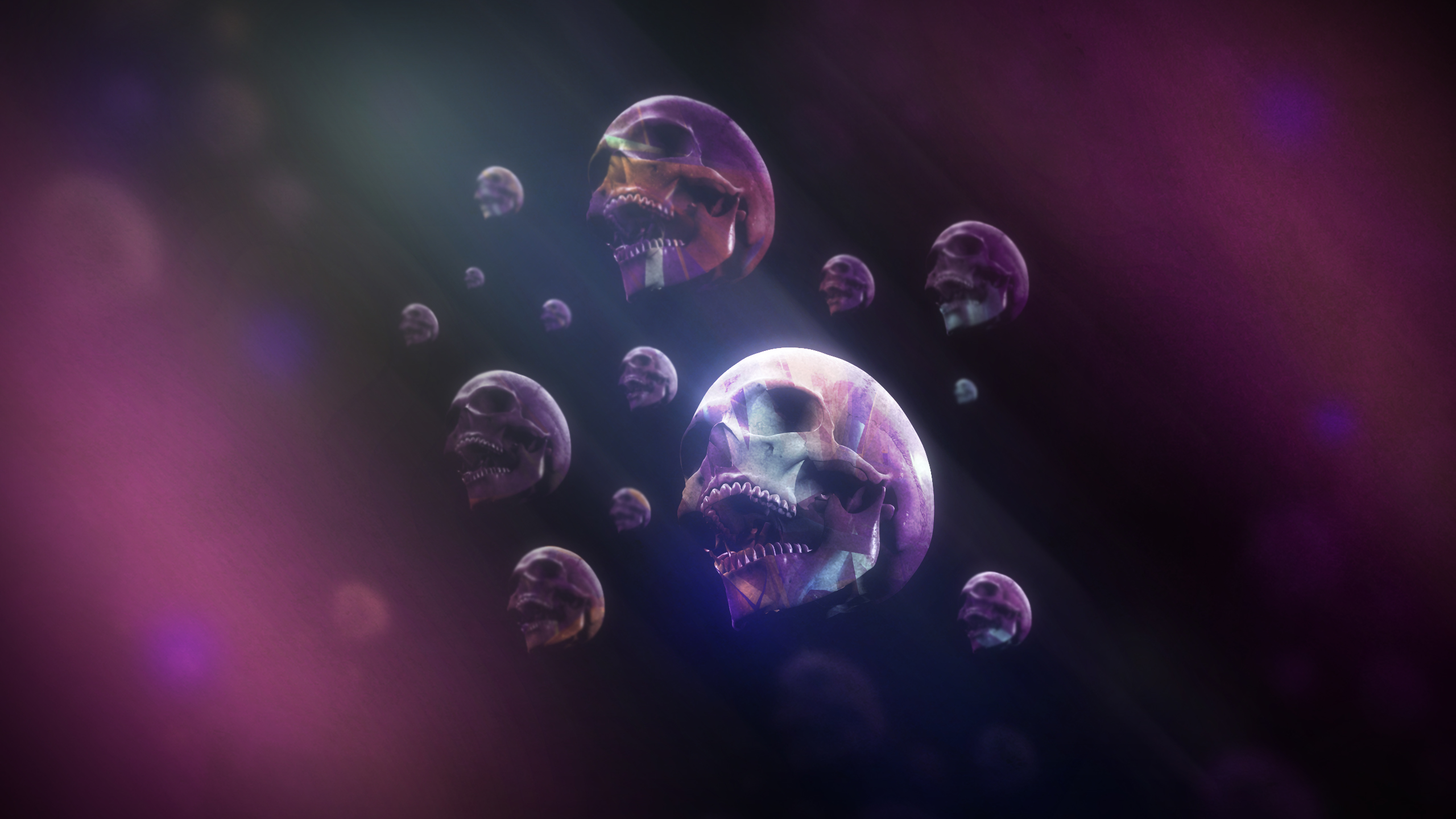 Skull HD Wallpaper | Background Image | 2560x1440 | ID:302469