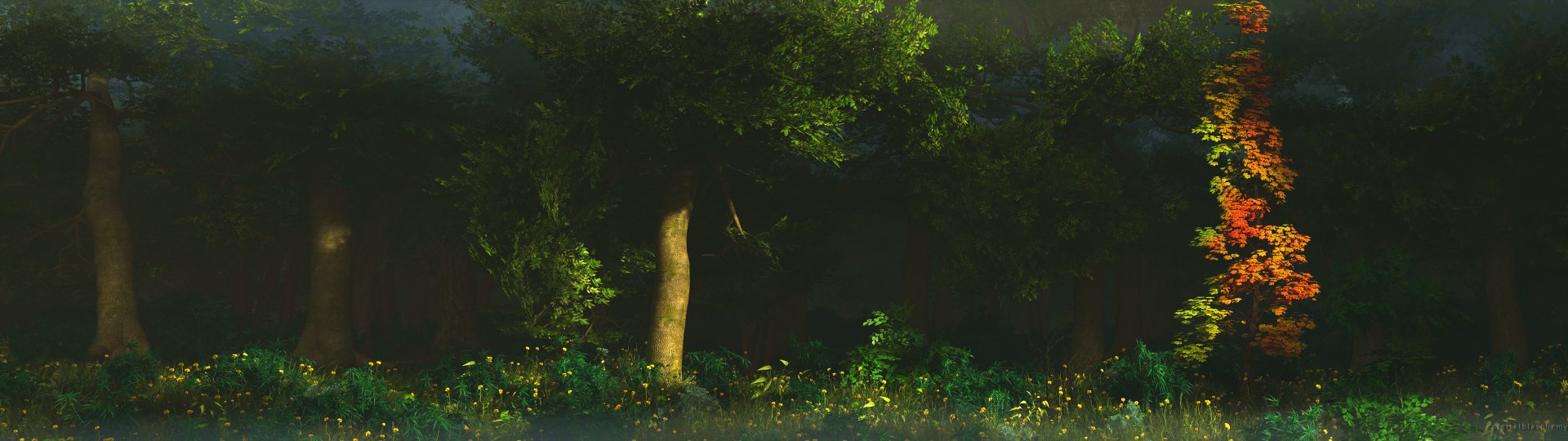 HD desktop wallpaper featuring a serene forest scene with lush green trees and soft natural light filtering through the foliage, highlighting the vibrant undergrowth.