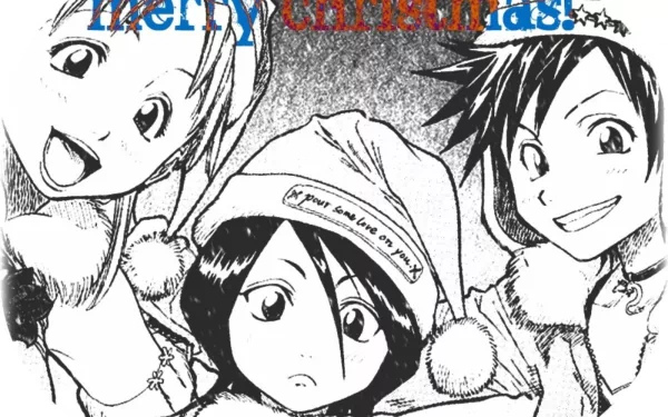 Tatsuki Arisawa Orihime Inoue Rukia Kuchiki Anime Bleach HD Desktop Wallpaper | Background Image