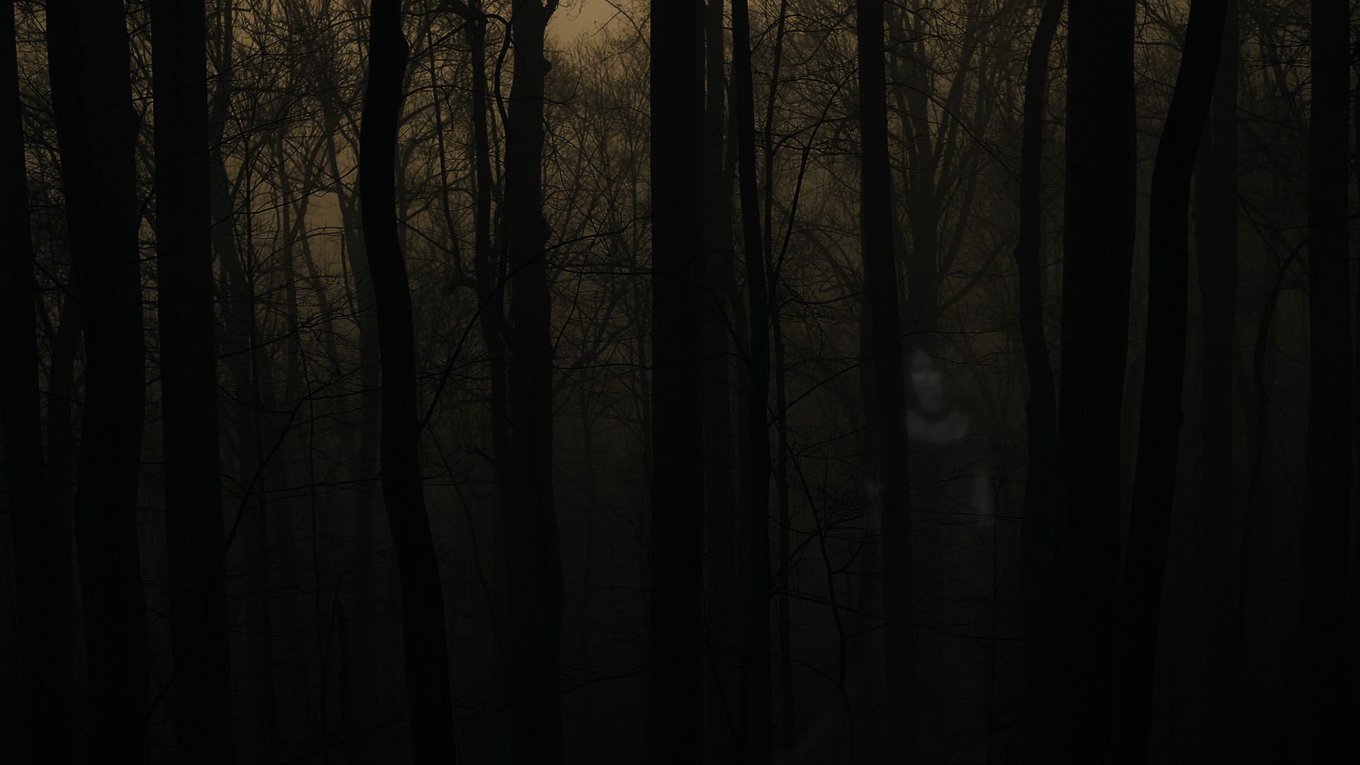 Creepy Forest Wallpaper