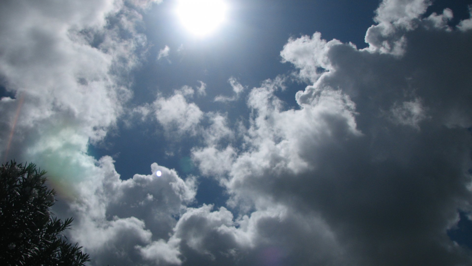 2K Quad HD PC desktop wallpaper: dramatic nature sky with sunlit and shadowed clouds drifting above silhouetted treetops.