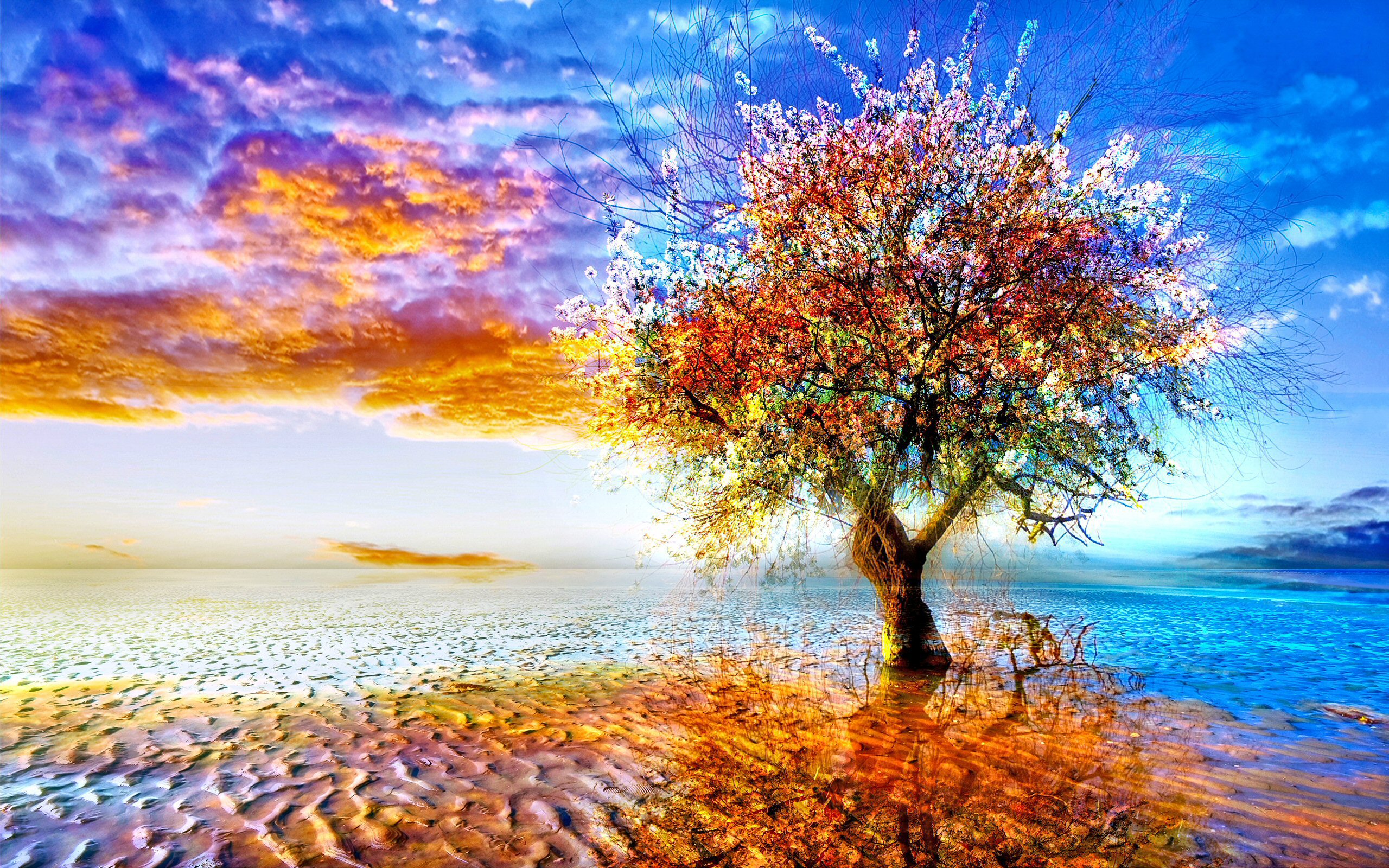 229 Lonely Tree Hd Wallpapers Background Images Wallpaper Abyss