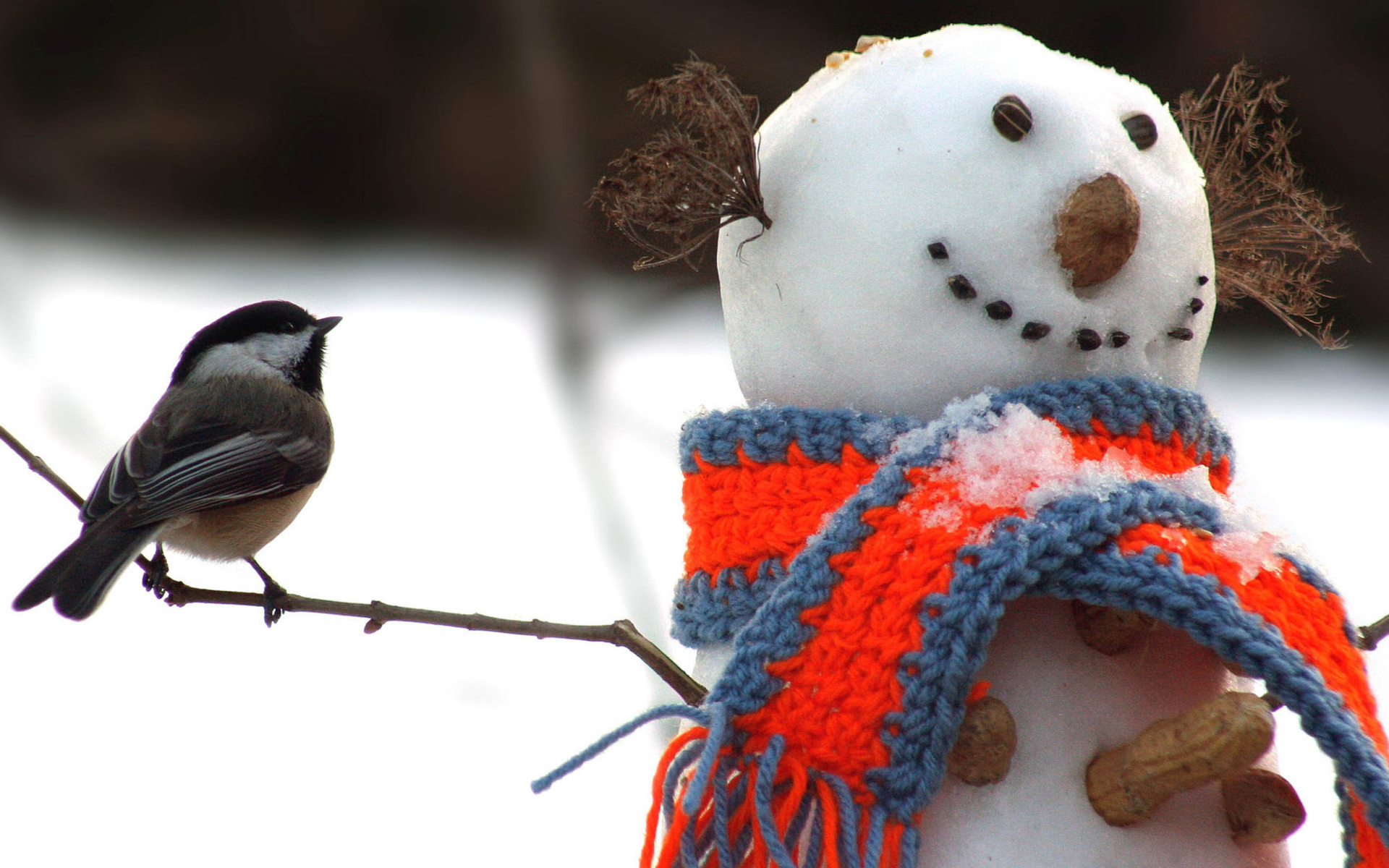 Photography Snowman HD Wallpaper | Background Image