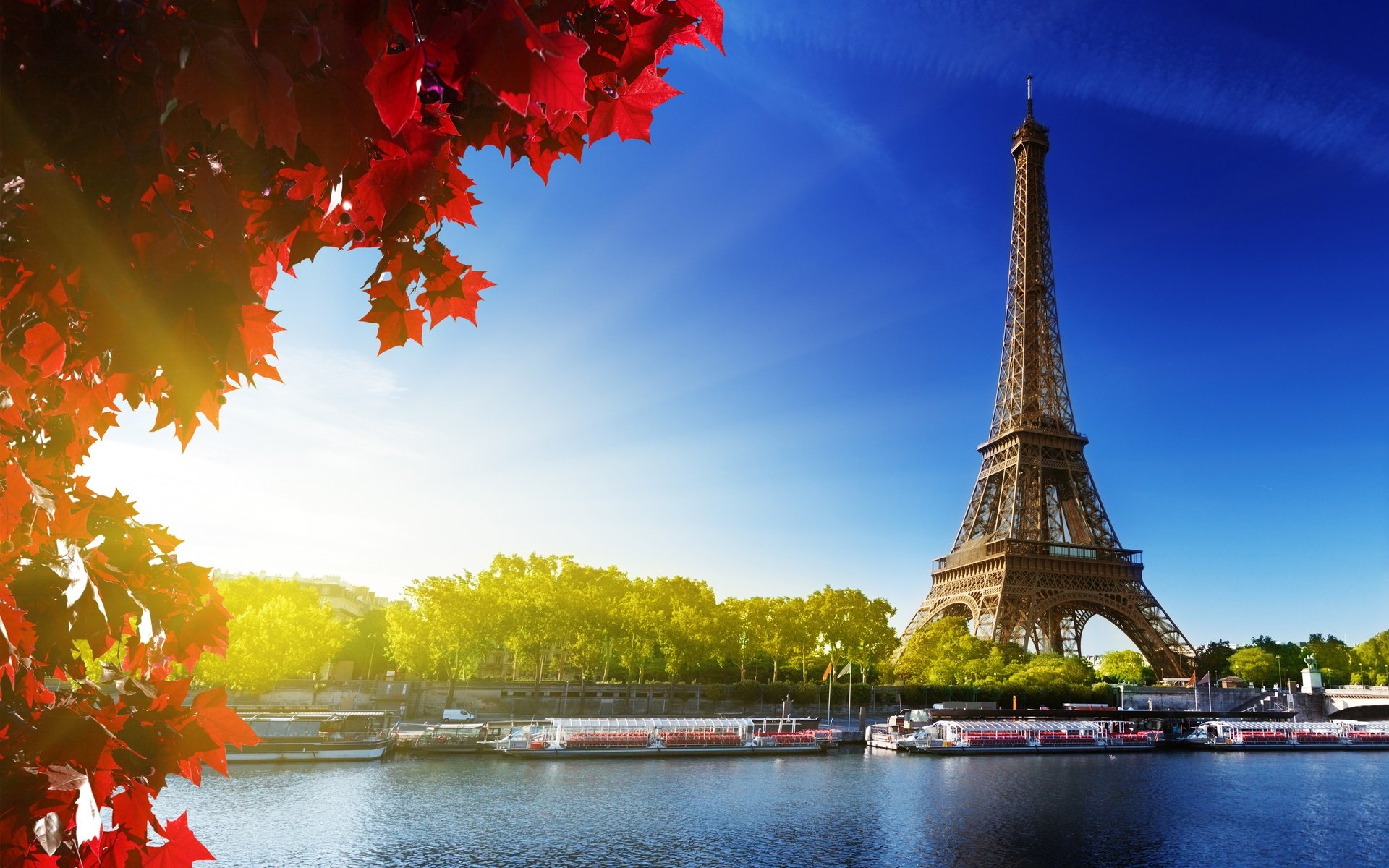 240 Eiffel Tower HD Wallpapers Backgrounds Wallpaper Abyss