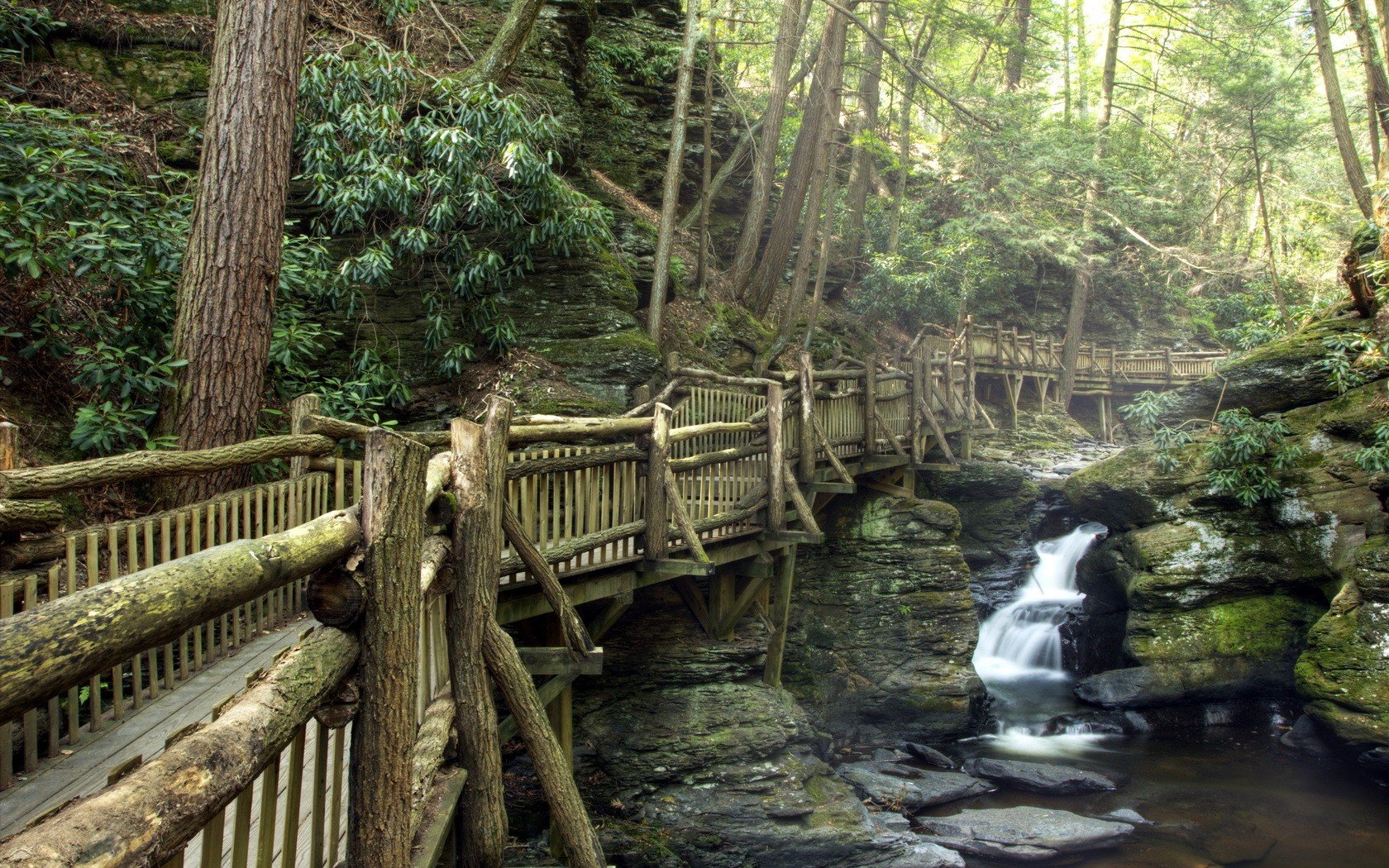 Download Bridge Stream River Forest Scenic Landscape Nature Waterfall  Wallpaper