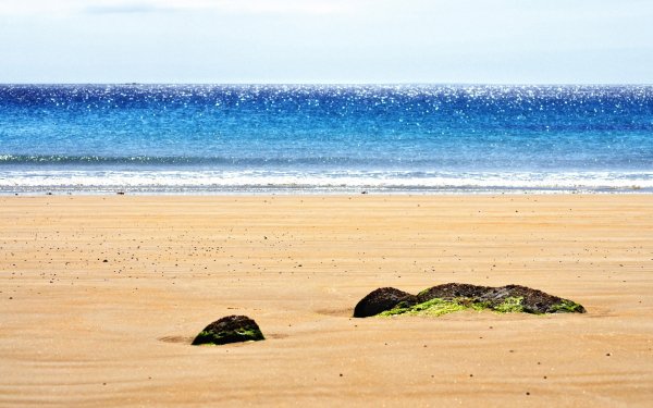 Nature Beach Ocean Sea Sand Shore Sky Cloud Horizon HD Wallpaper | Background Image