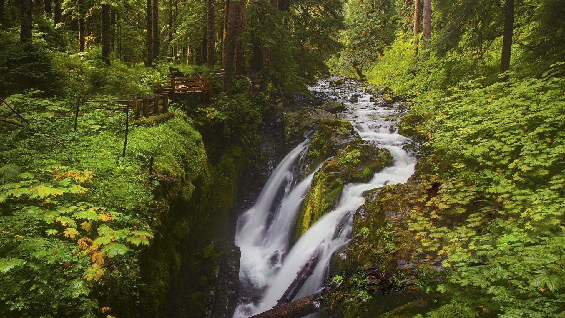 Nature Waterfall HD Wallpaper