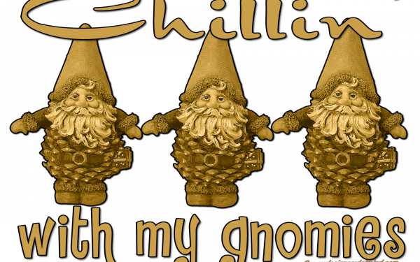 Humor Fantasy Funny Gnome Cute HD Wallpaper | Background Image