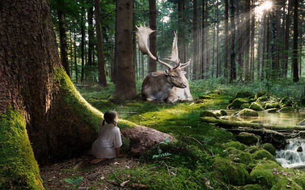 Photography Manipulation CGI Forest Child Elk Cute HD Wallpaper | Background Image
