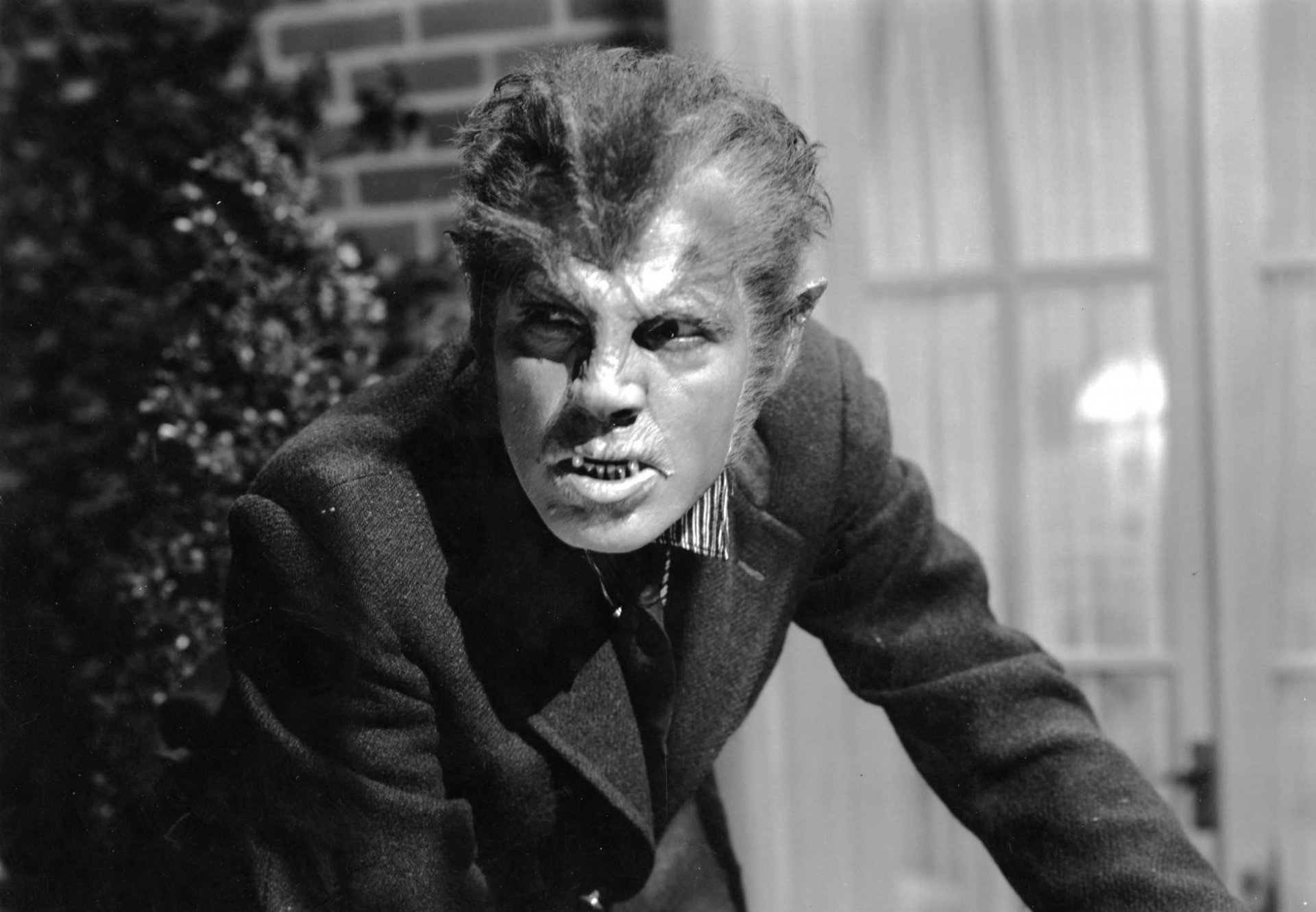 werewolf-of-london-is-a-1935-horror-werewolf-movie-starring-henry-hul