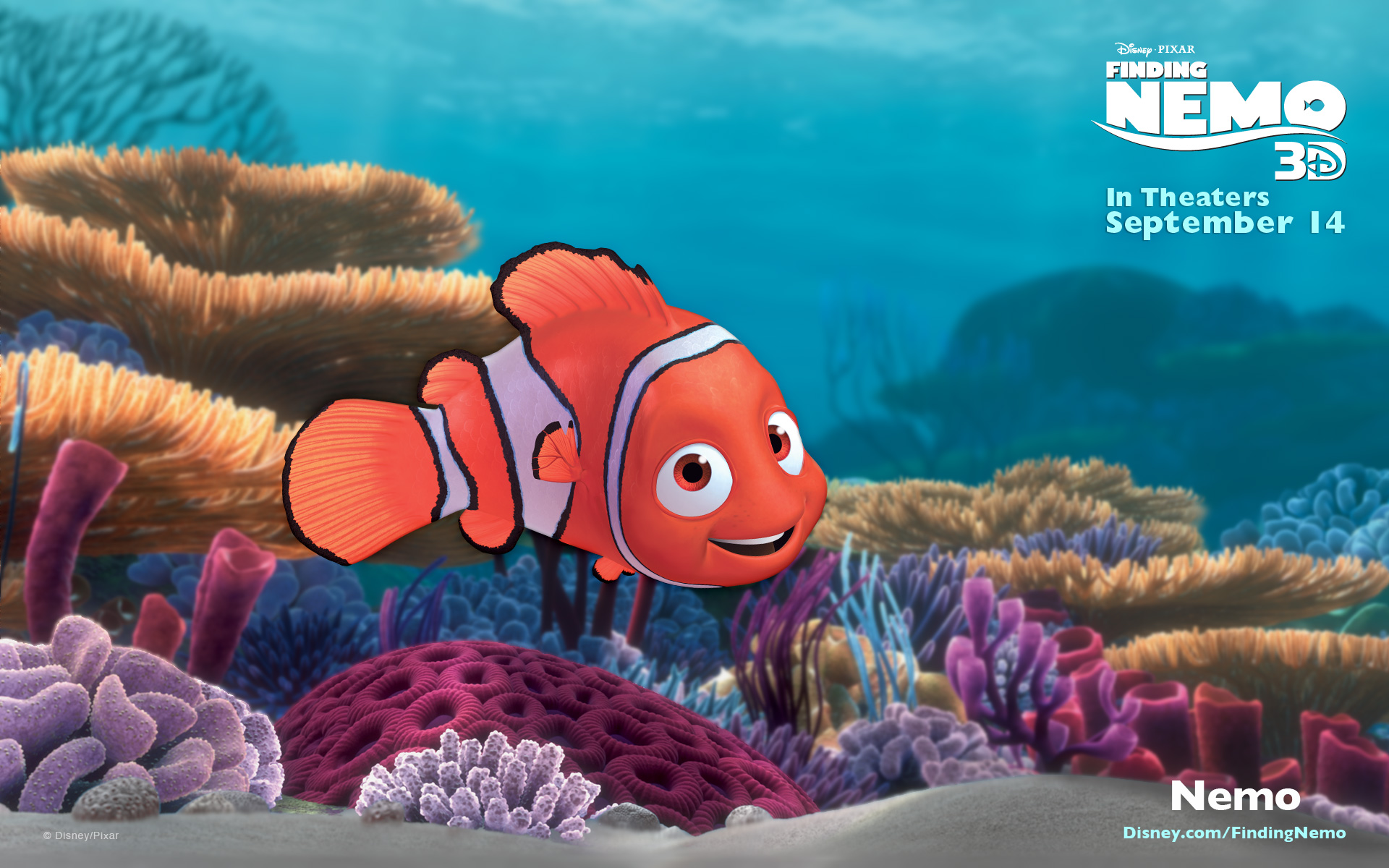 Movie Finding Nemo HD Wallpaper | Background Image