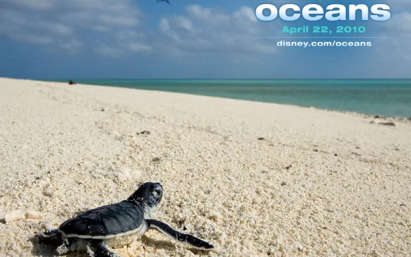HD PC desktop wallpaper: baby sea turtle crawling across a sandy beach toward turquoise ocean with the Disney Oceans movie logo visible.
