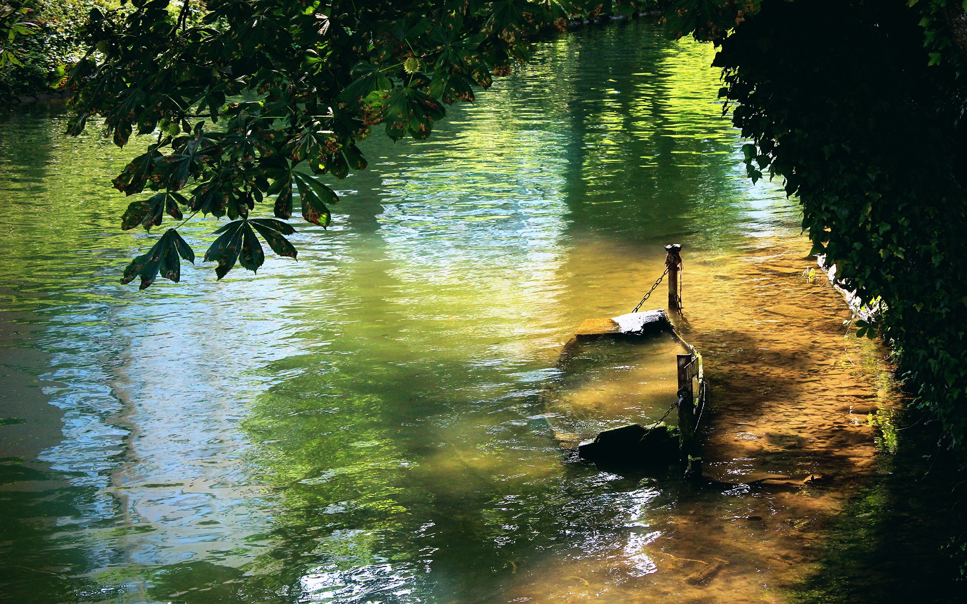 HD PC desktop wallpaper of a tranquil lake surrounded by lush green foliage, sunlight reflecting off the calm water’s surface in a serene nature scene.