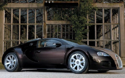 Sleek black Bugatti sports car parked before a rustic glass-and-wood greenhouse; 2K Quad HD PC desktop wallpaper/background.