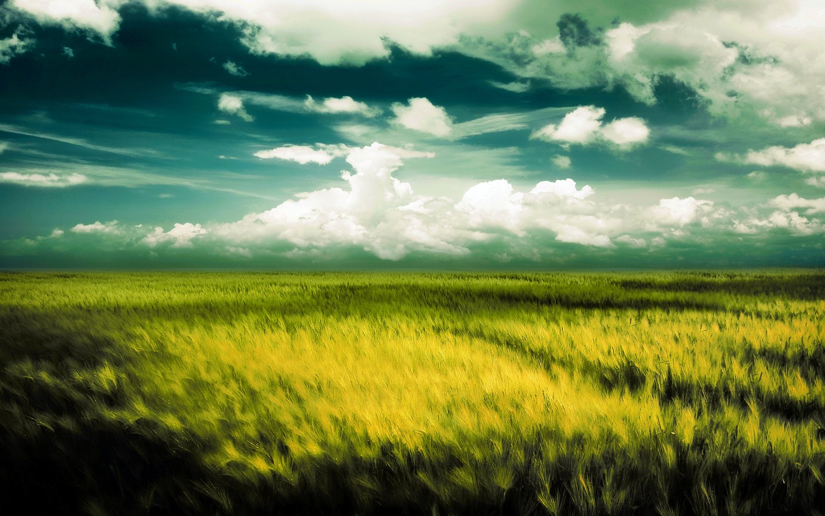 HD PC desktop wallpaper showcasing a vast wheat field under a dramatic cloudy sky, highlighting the beauty of nature with vibrant greens and yellows.