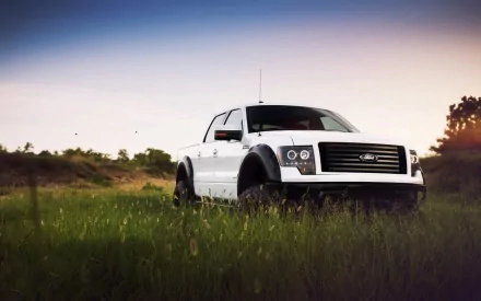vehicle Ford F-150 HD Desktop Wallpaper | Background Image