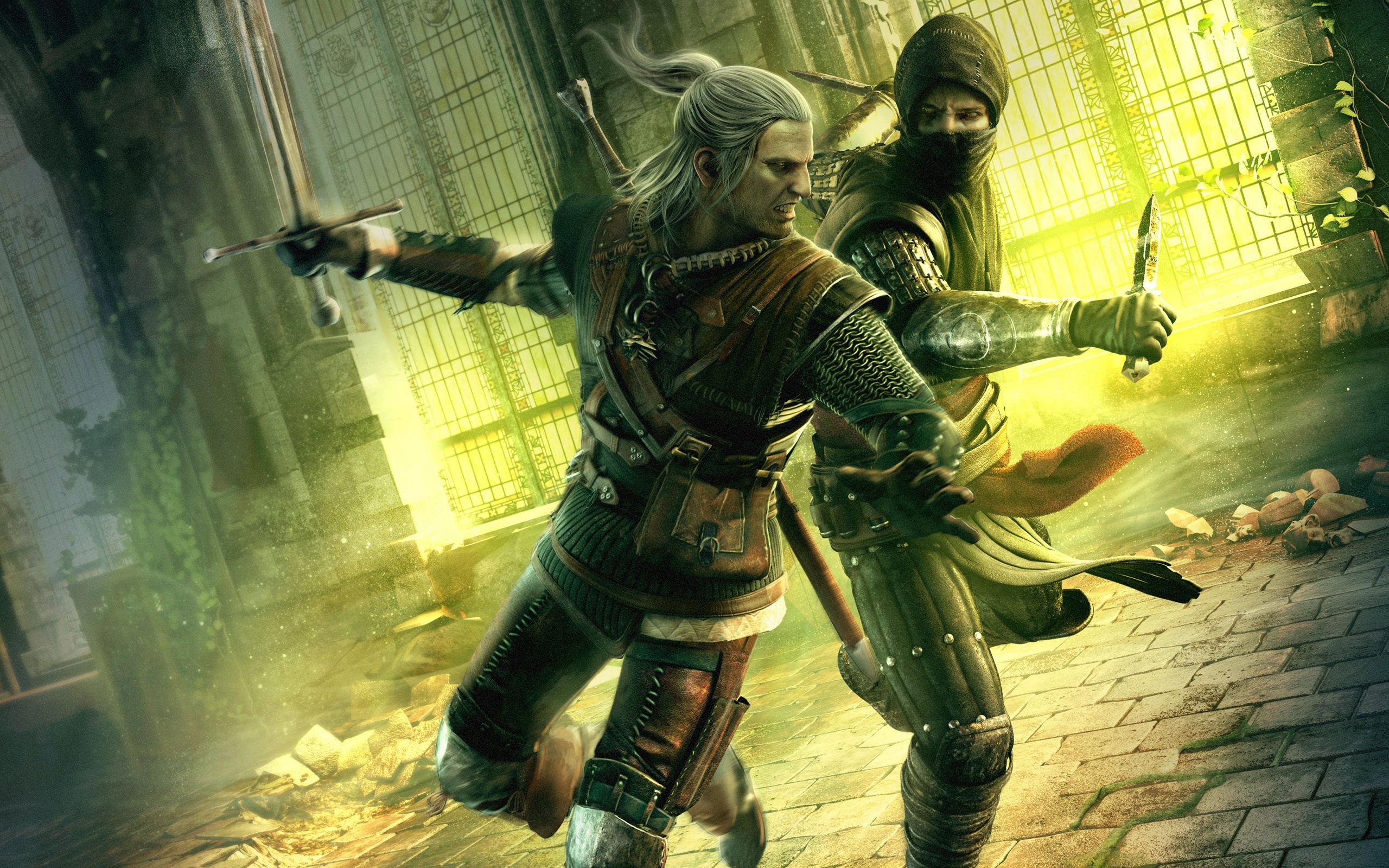 Video Game The Witcher 2: Assassins Of Kings HD Wallpaper | Background Image
