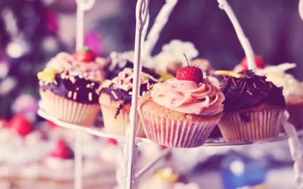 food cupcake HD Desktop Wallpaper | Background Image