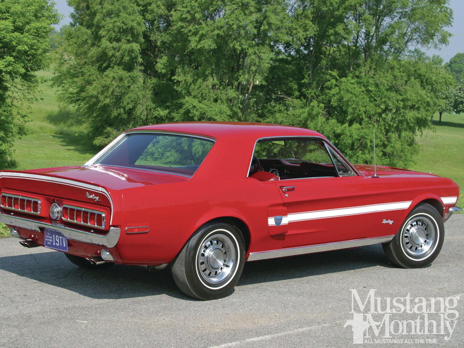 Download Vehicle Ford Mustang Wallpaper