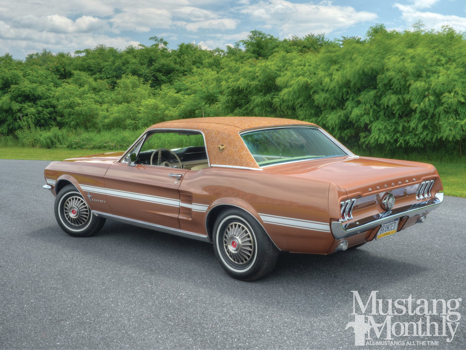 Download Vehicle Ford Mustang Wallpaper