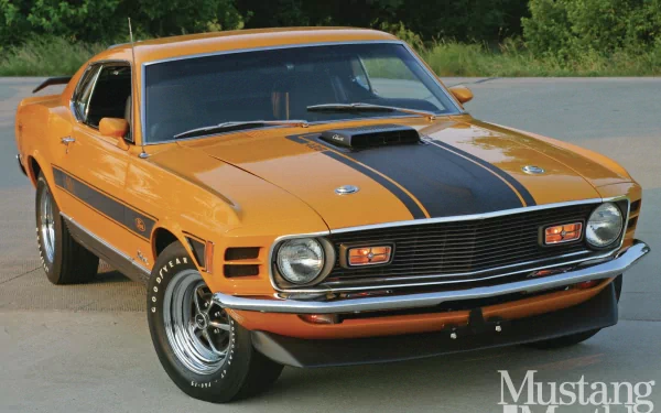 orange car muscle car fastback Ford Mustang vehicle Ford Mustang Boss 429 HD Desktop Wallpaper | Background Image