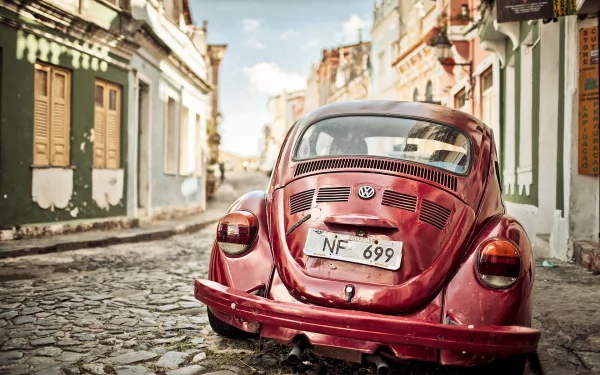 beetle bug vehicle Volkswagen Volkswagen Beetle HD Desktop Wallpaper | Background Image
