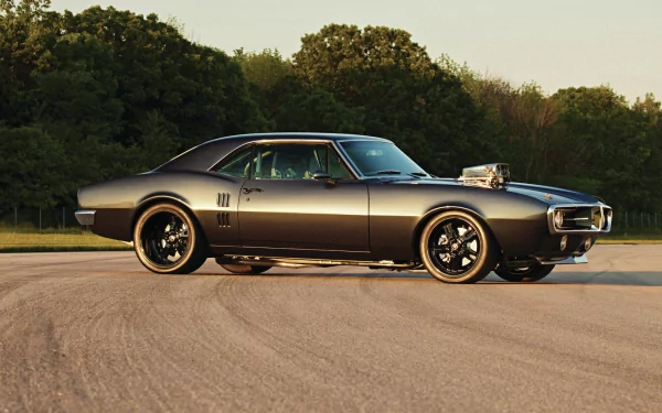 Sleek Pontiac vehicle, classic muscle car parked on sunlit pavement with treeline backdrop — HD PC desktop wallpaper background