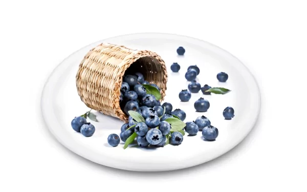 food blueberry HD Desktop Wallpaper | Background Image