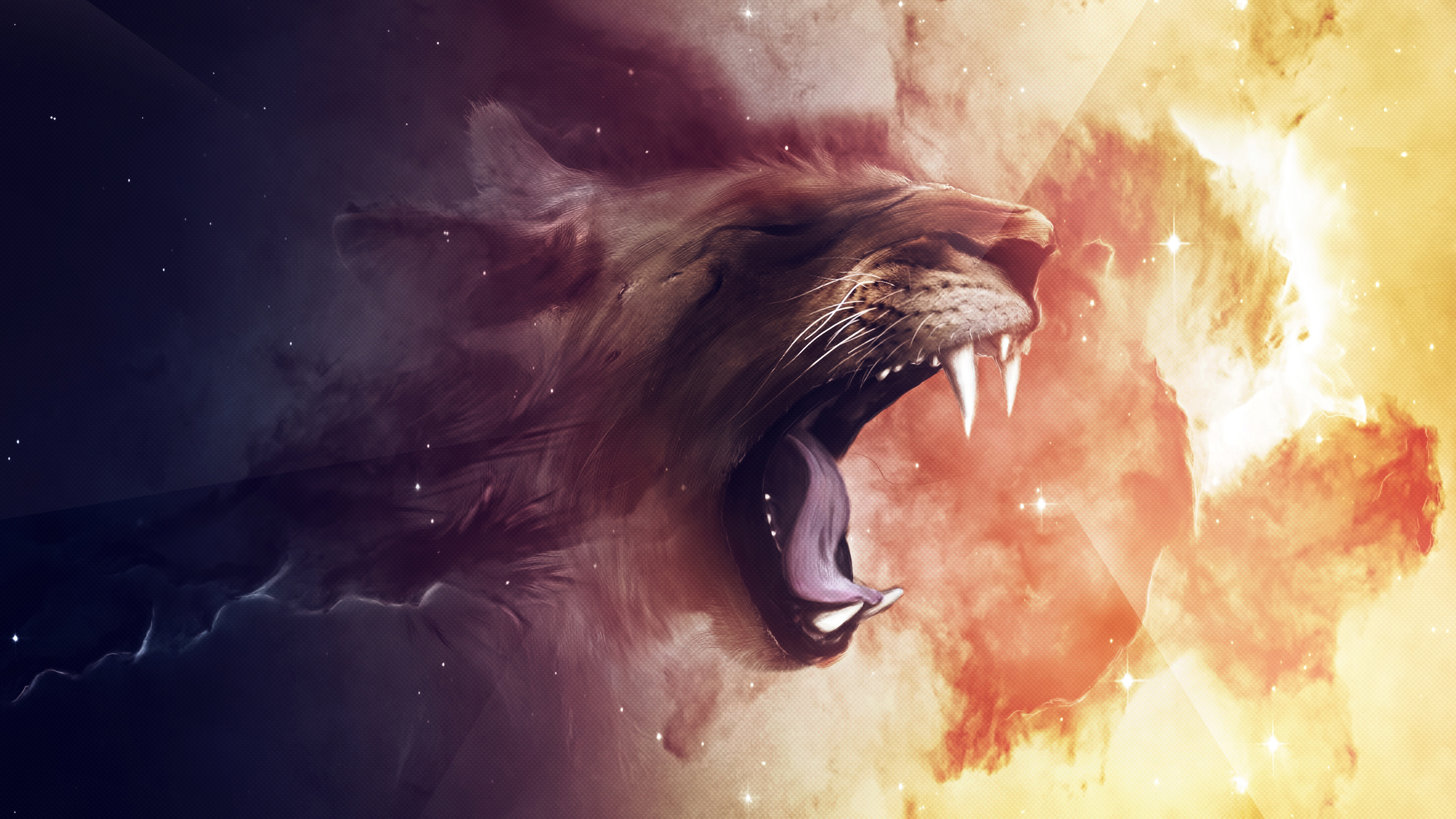 Animal - Lion  Wallpaper