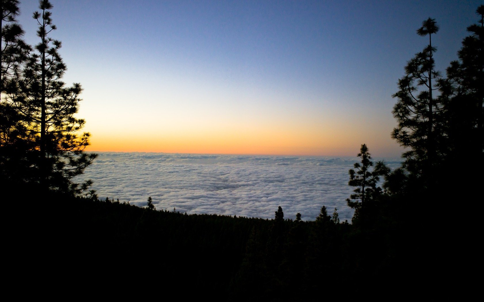Download Sea Of Clouds Nature Cloud Wallpaper