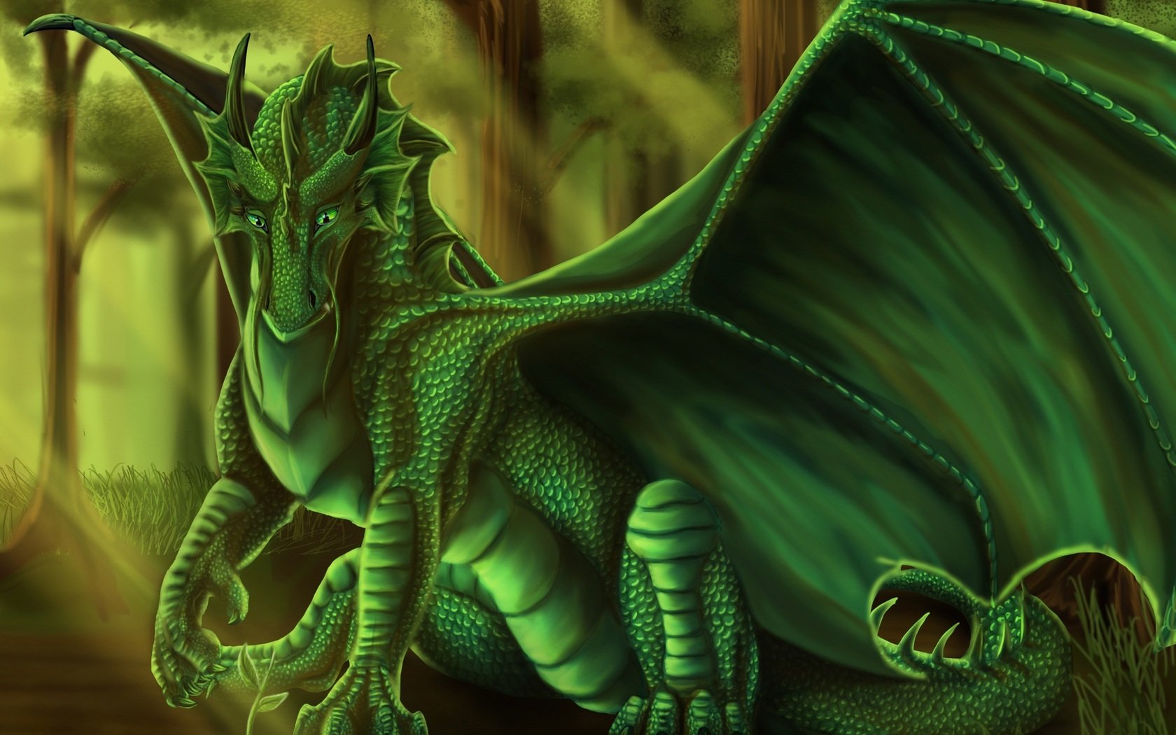 Fantasy Dragon Wallpaper and Background Image | 1680x1050