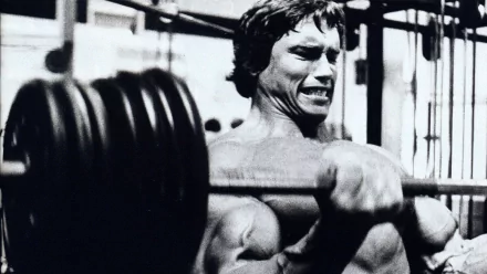 Celebrity Arnold Schwarzenegger HD Desktop Wallpaper | Background Image