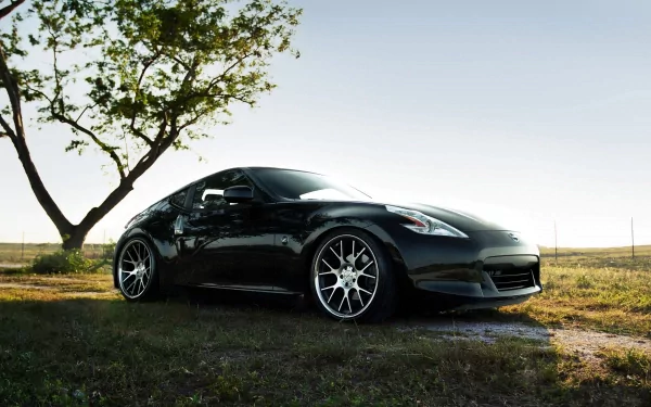 HD PC desktop wallpaper featuring a sleek black Nissan sports car parked on grass with a tree and clear sky in the background.