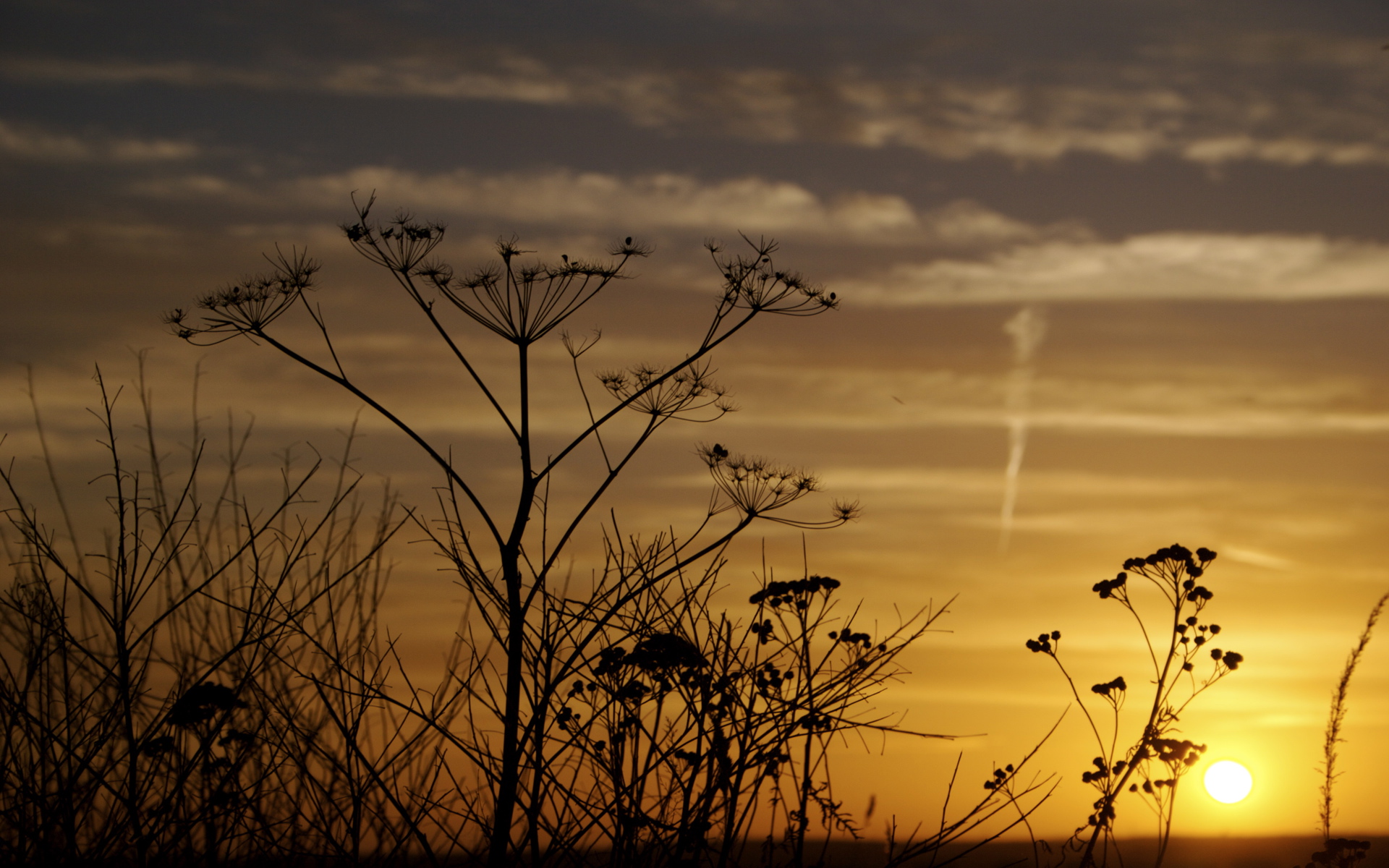 Download Nature Sunset HD Wallpaper
