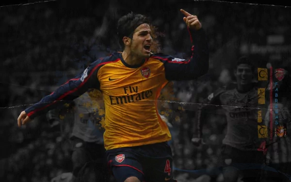 Cesc Fàbregas Sports Arsenal F.C. HD Desktop Wallpaper | Background Image