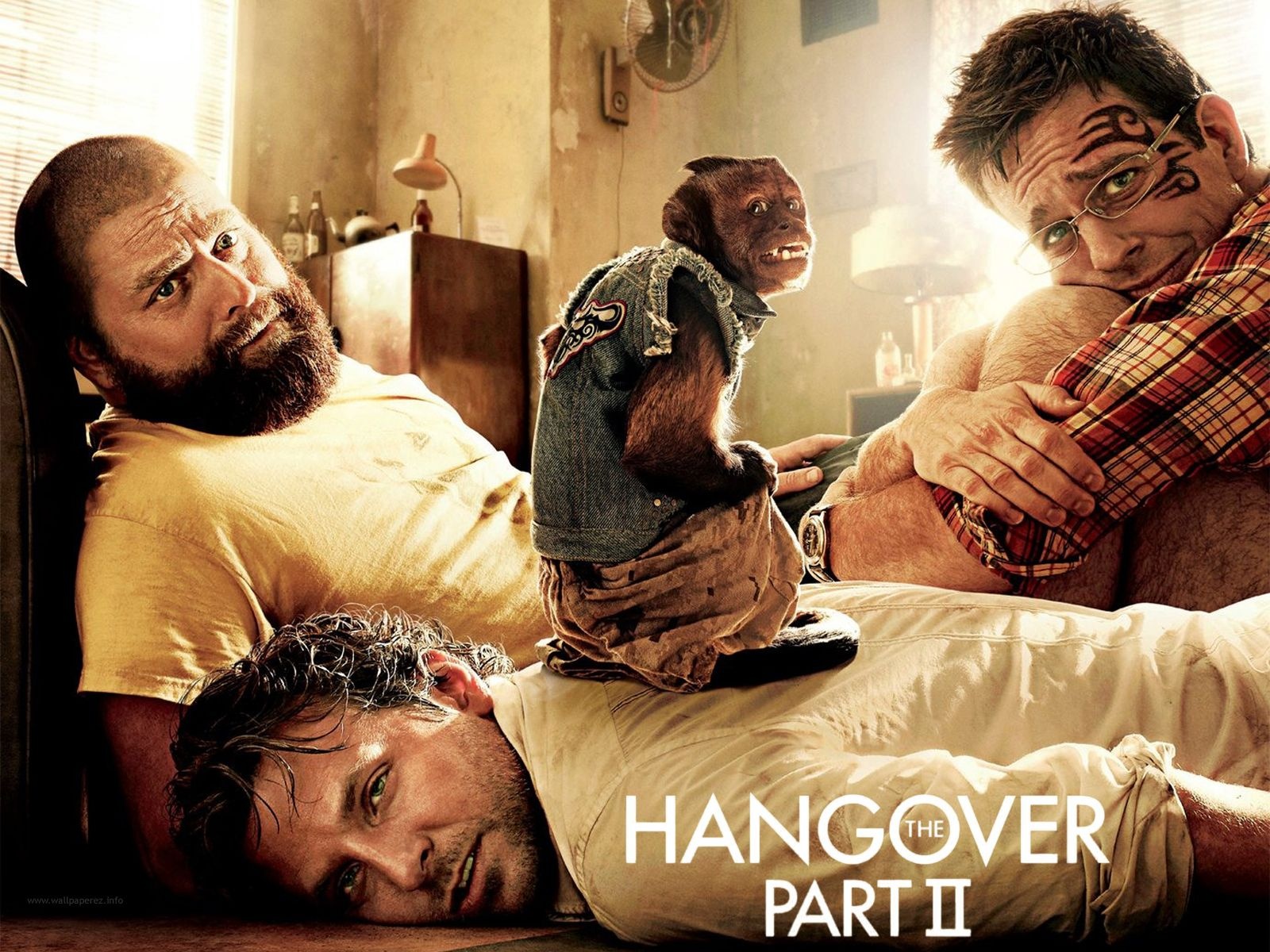 Movie The Hangover Part II HD Wallpaper | Background Image