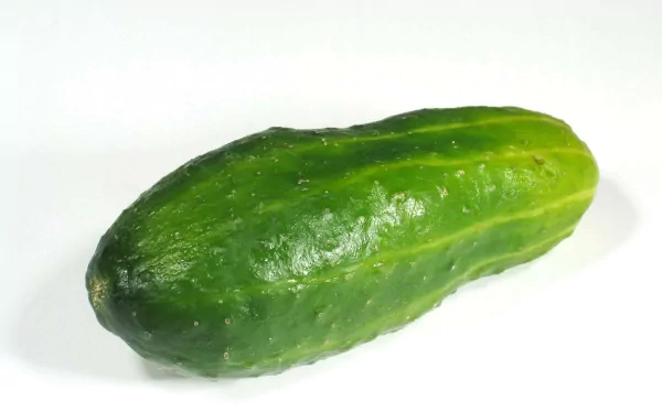 HD PC desktop wallpaper featuring a fresh green cucumber on a clean white background, highlighting its texture and vibrant color.
