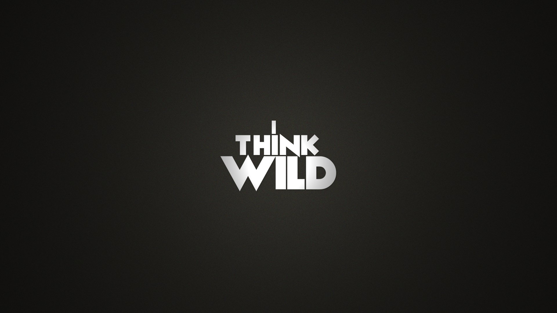 Funny HD PC desktop wallpaper with the phrase THINK WILD in bold, white text on a simple black background.