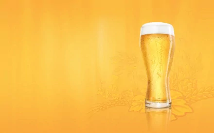 HD PC desktop wallpaper featuring a tall glass of cold beer against a bright orange background with subtle food-themed illustrations.