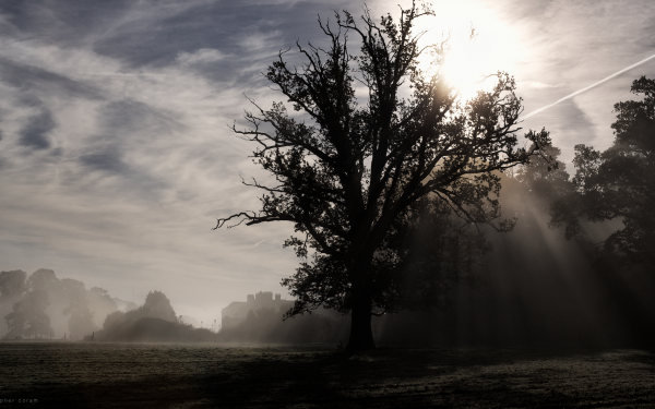 Photography Scenic Fog Sun Landscape Morning HD Wallpaper | Background Image