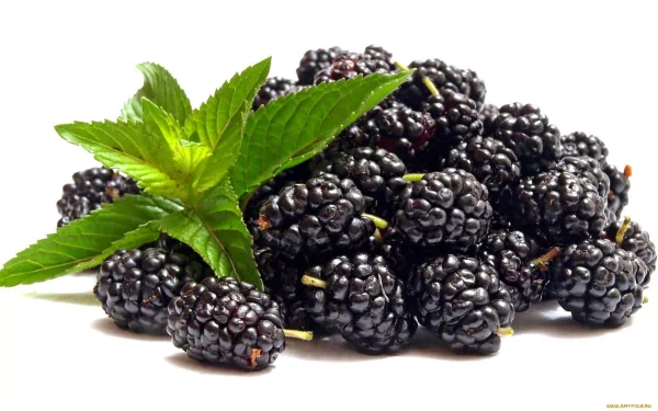 food blackberry HD Desktop Wallpaper | Background Image