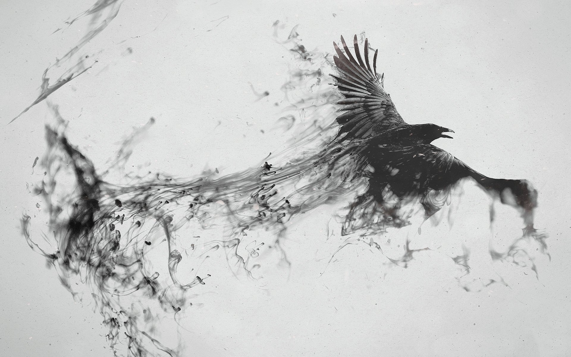 An artistic HD wallpaper featuring a dynamic black bird soaring through fluid, abstract strokes, creating a captivating blend of animal and artistic elements.