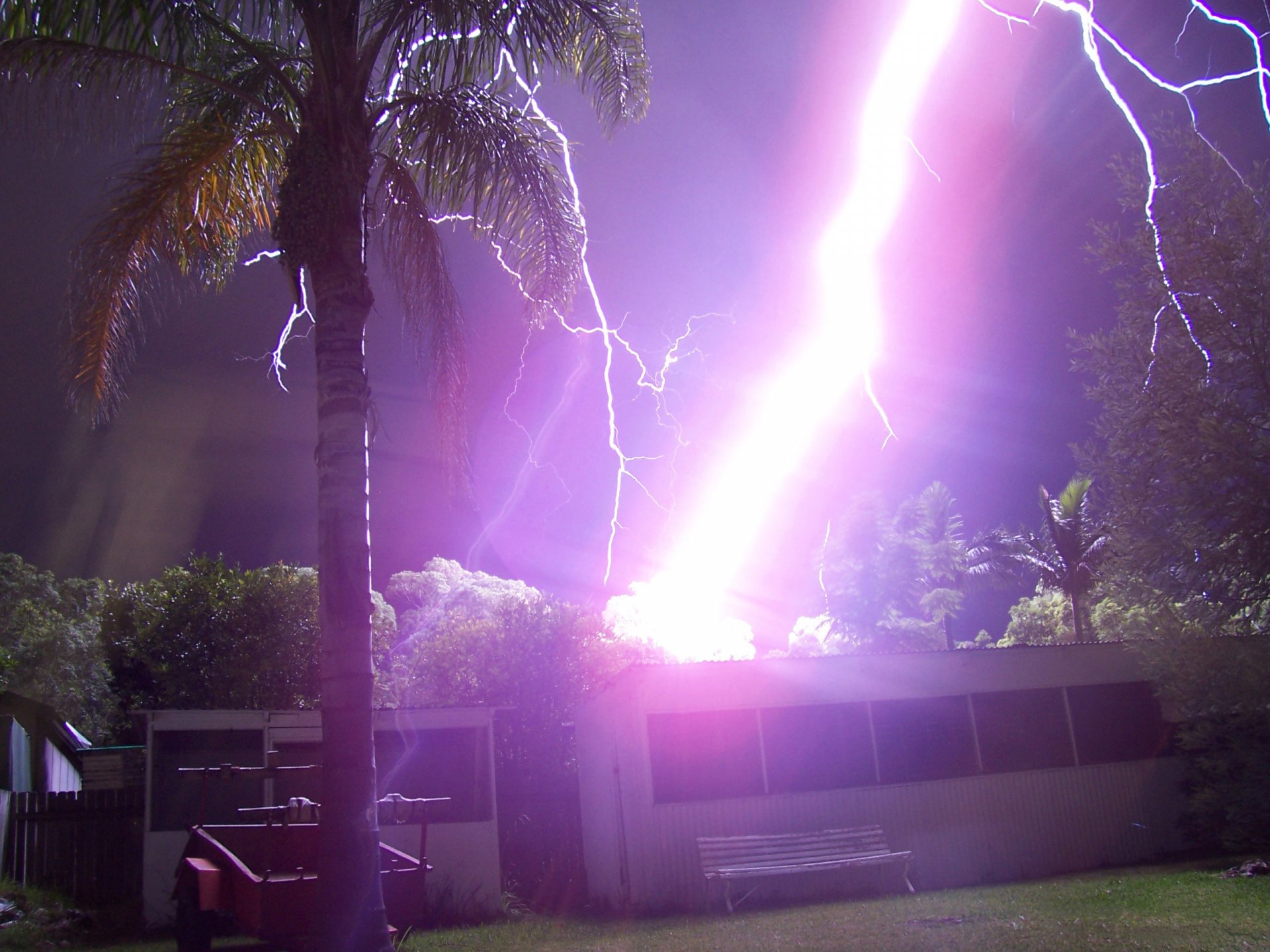 Photography of a vivid purple lightning bolt striking near a palm tree and trailer at night — 2K Quad HD PC desktop wallpaper/background.
