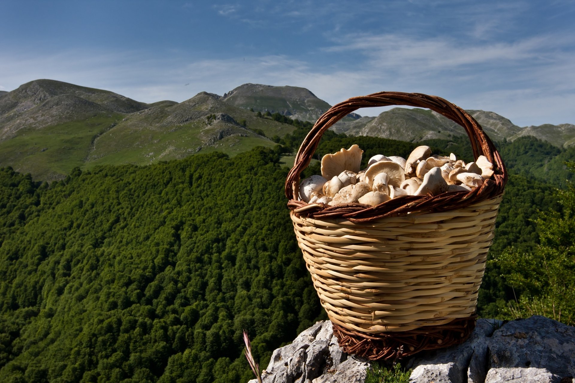 HD PC desktop wallpaper featuring a basket filled with fresh mushrooms set against a scenic mountain and forest landscape under a clear blue sky.