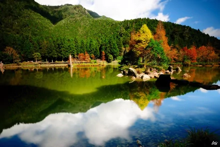 A serene nature scene featuring vibrant trees reflecting in a calm lake, surrounded by lush mountains under a clear blue sky. This HD wallpaper captures the beauty of tranquility in nature.