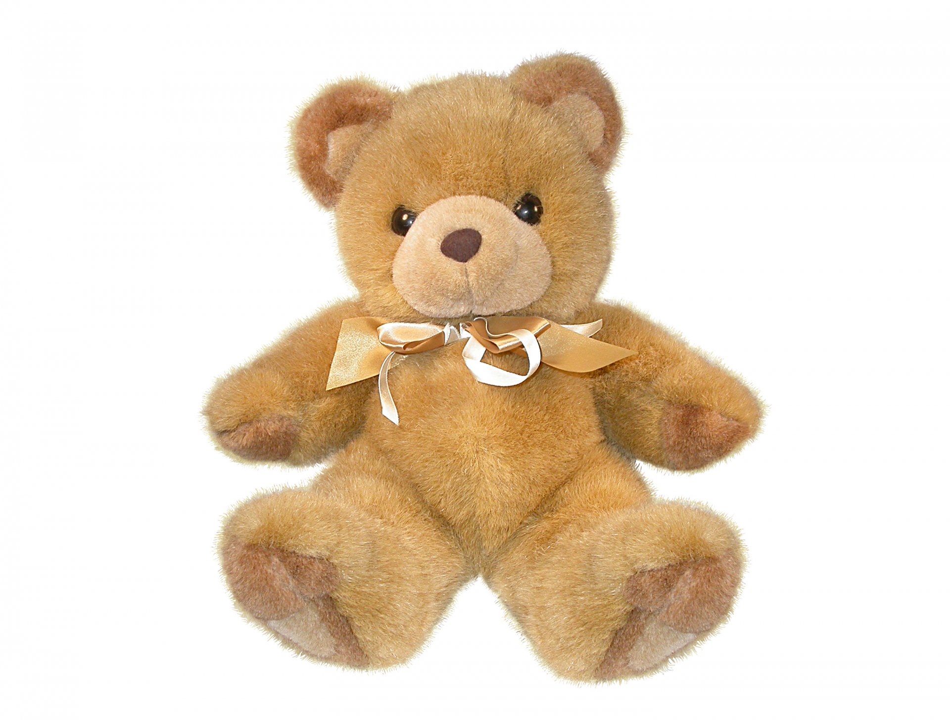 big teddy bear images hd