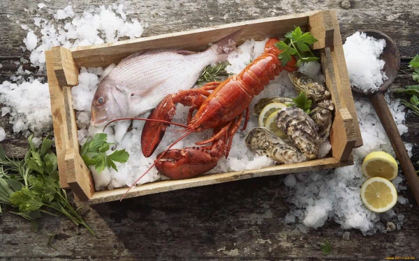 food seafood HD Desktop Wallpaper | Background Image